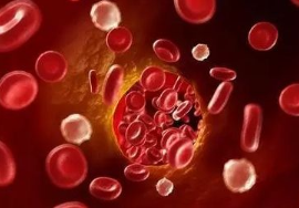 【兆恒機械】不得不了解的“檢驗科醫(yī)療設(shè)備”！